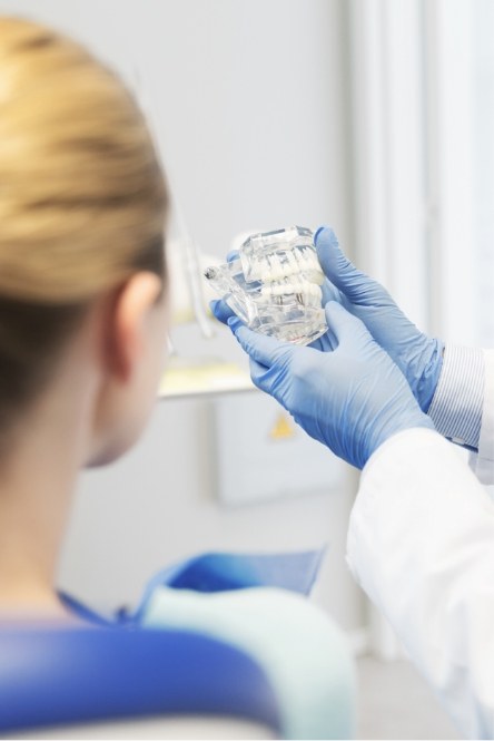 Dentist and patient looking at smile model during preventive dentistry checkup and teeth cleaning