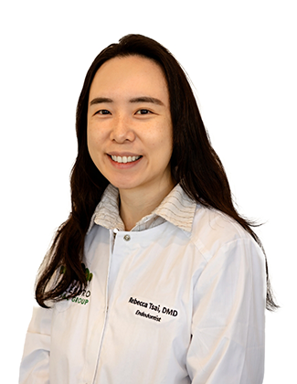 North Attleboro Dr. Rebecca Tsai