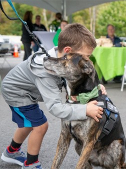 Young boy hugging a dog