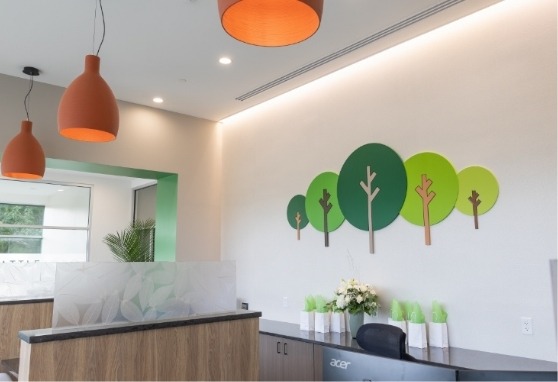Wall art of green trees in reception area of dental office in North Attleboro