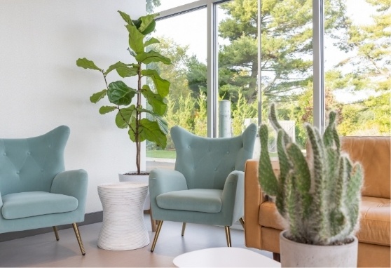 Two light blue armchairs next to the loveseat
