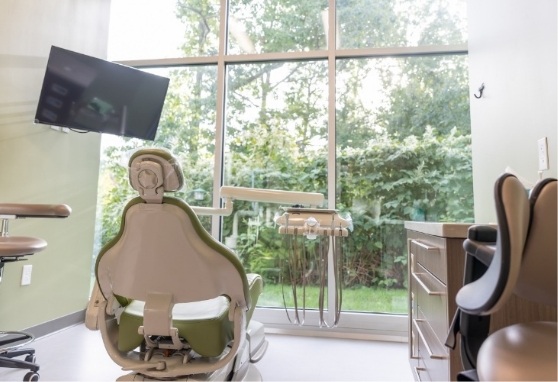 Dental treatment room with trees visible through the window